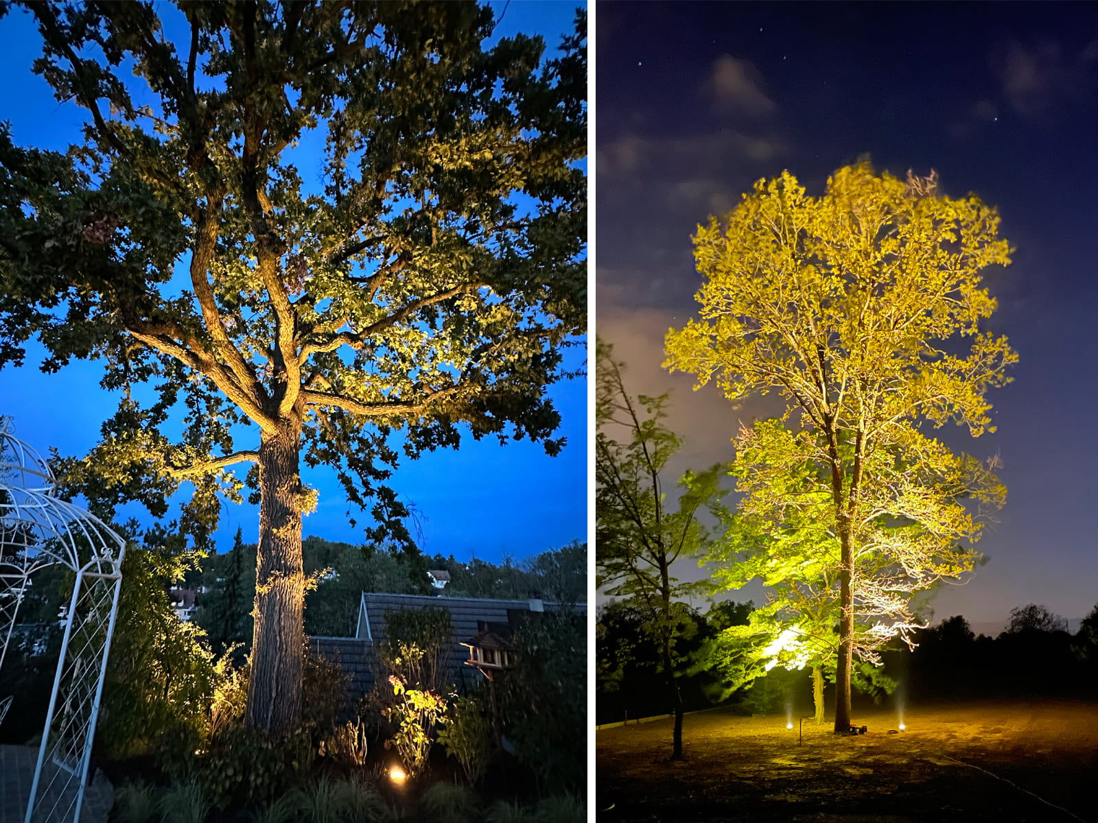 eclairage arbre jardin led techique zseclairage